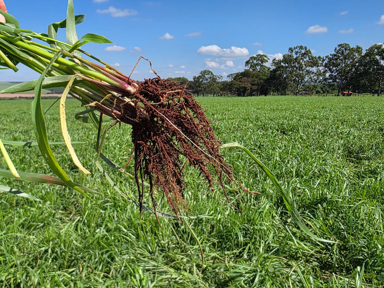 58158e88-9988-4cdb-ae97-62ec11c2fdfd.jfif