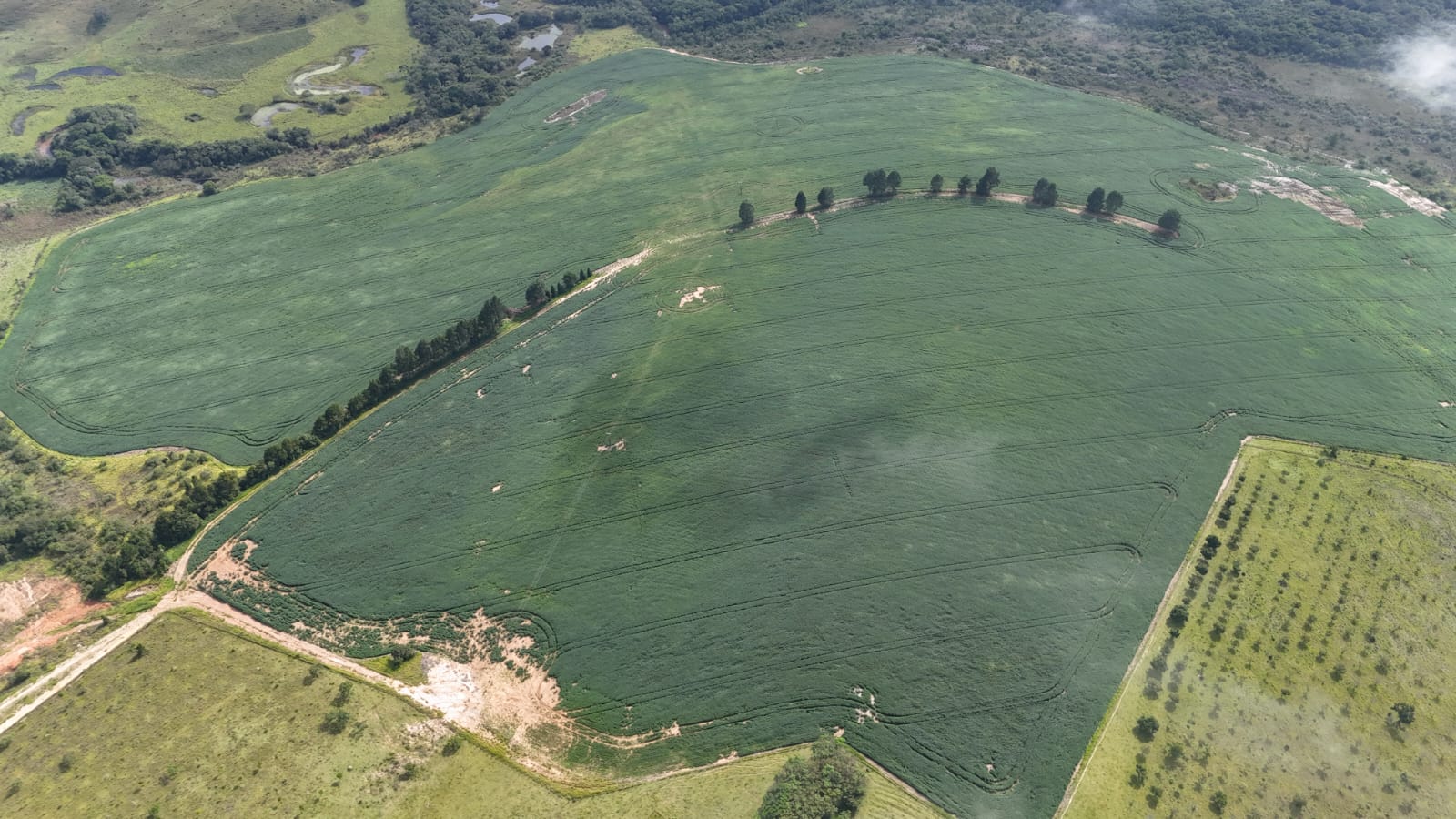 485fe6b8-99e6-404d-9949-b3a06a11ea93.jfif