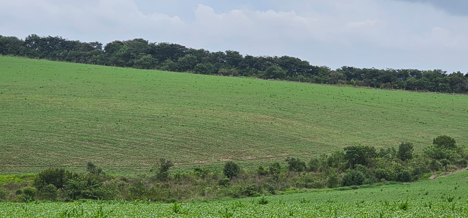 216b711c-5cb2-4079-ac8d-952e84e0b973.jfif