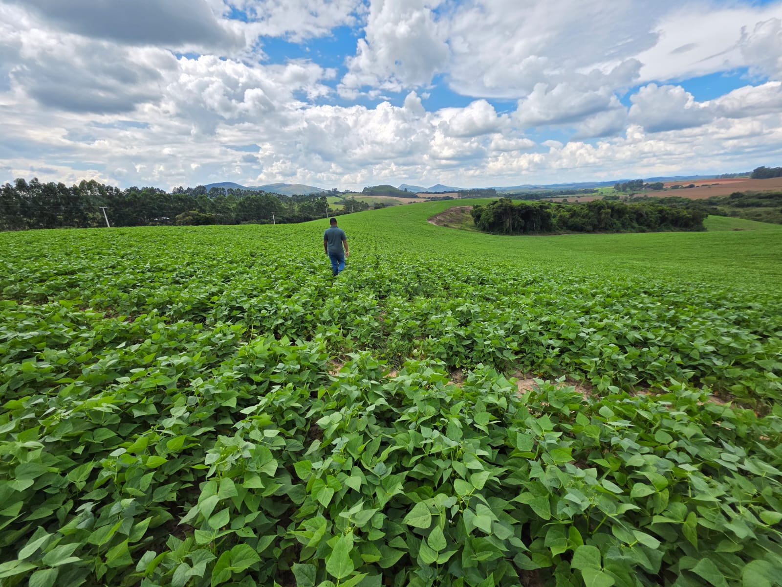 2e24d6aa-c0b2-4c7f-bb41-60d9bd83729f.jfif