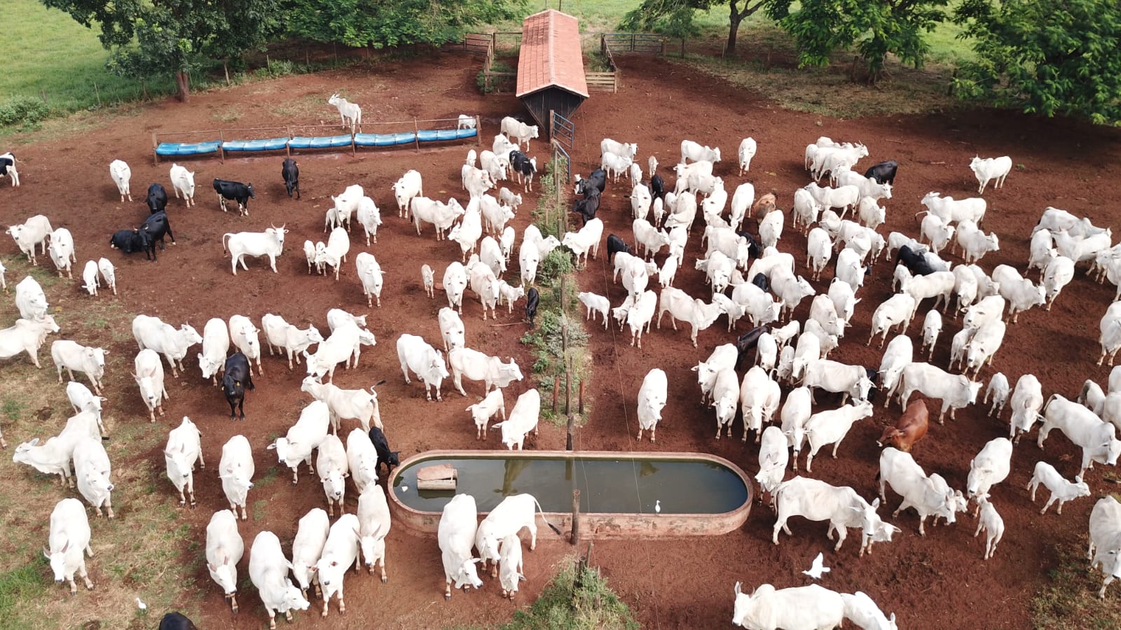 ec654aec-a21f-4756-a931-e6706458bcf8.jfif