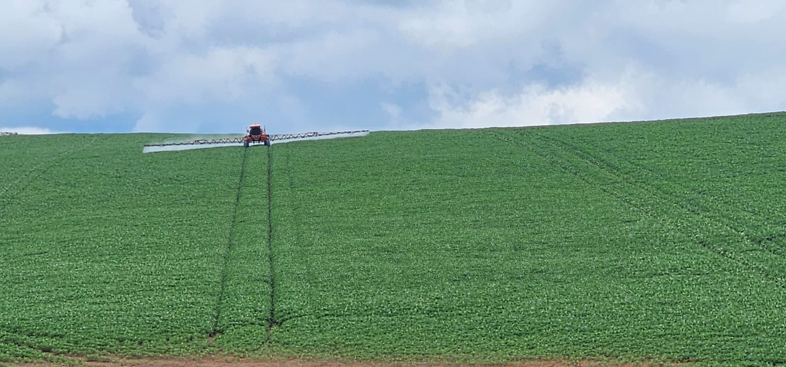 d05b46da-70e7-43cb-a9c1-369a45d3fb23.jfif