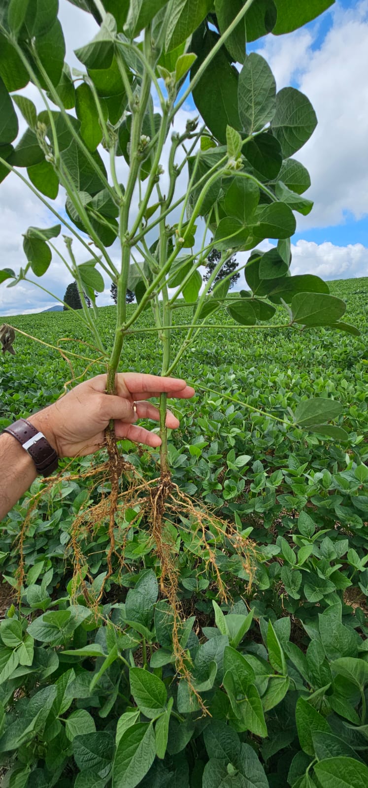 e4b2b4c4-8a5c-4366-bc89-1582b8c30684.jfif