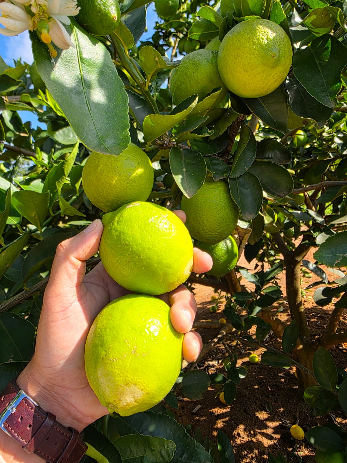 8aedcf3f-0576-4841-a269-19bf67883231.jfif