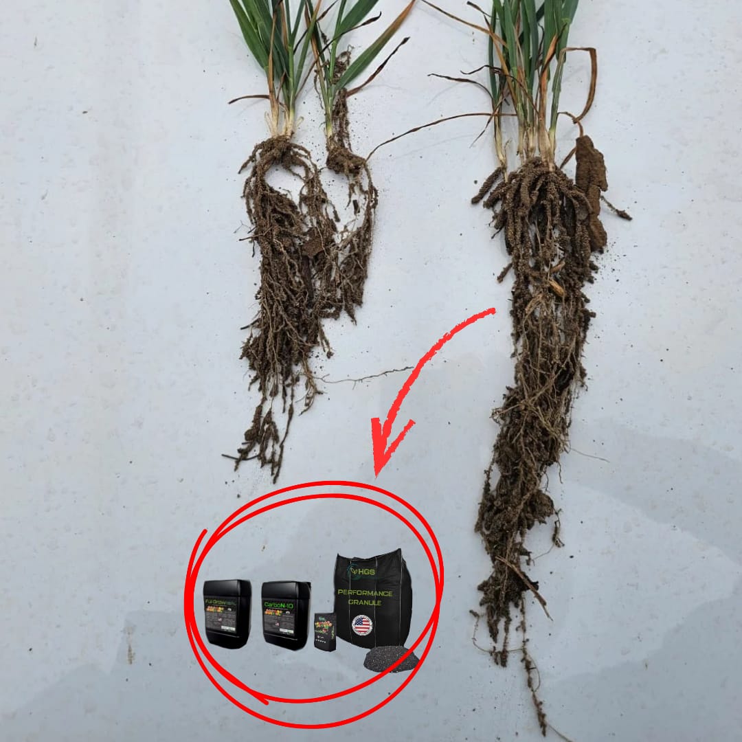 WhatsApp Image 2025-11-19 at 09.20.50.jpeg