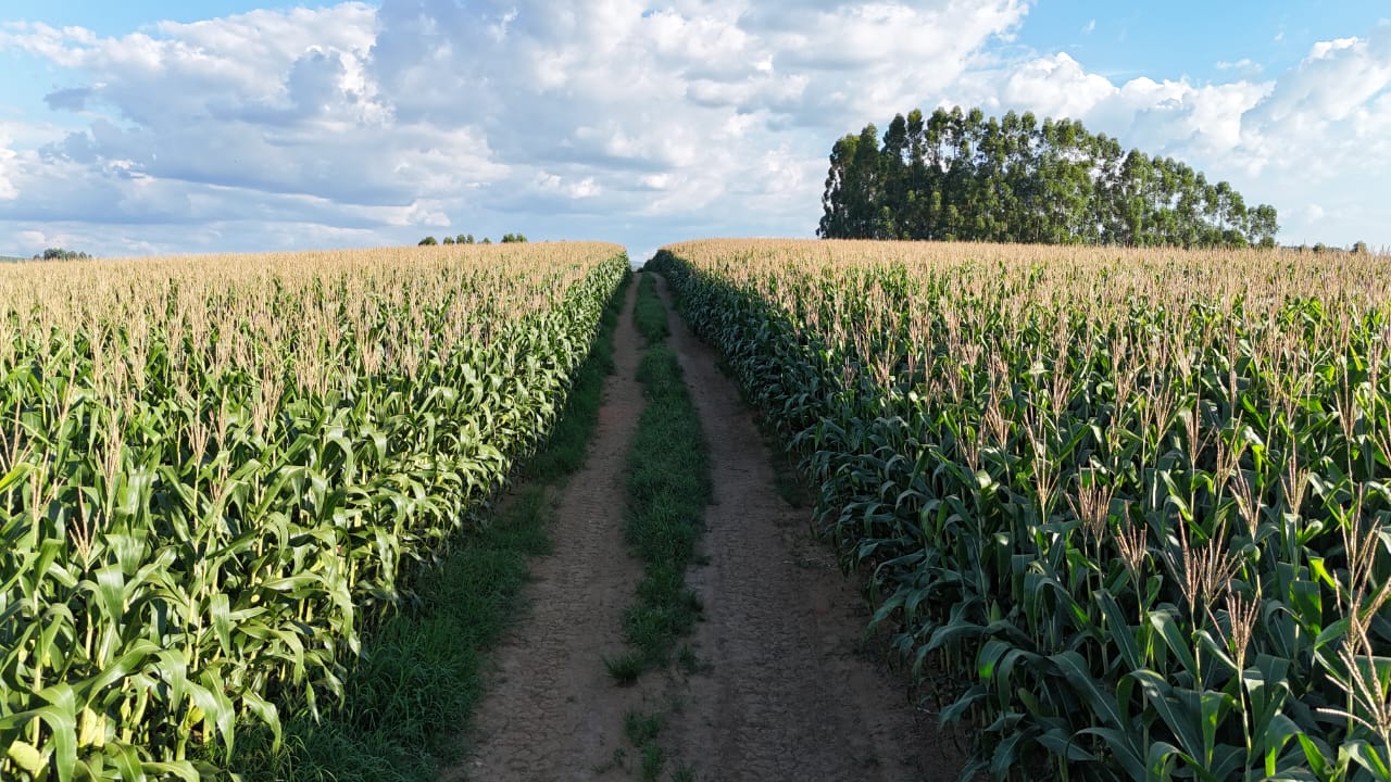 4de89898-80d5-4bd6-911e-794011f123bf.jfif