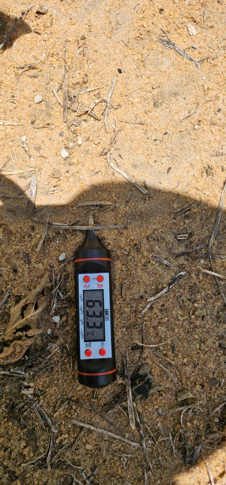 911d07d6-49b5-4be8-b7fa-63ec277d4c72.jfif