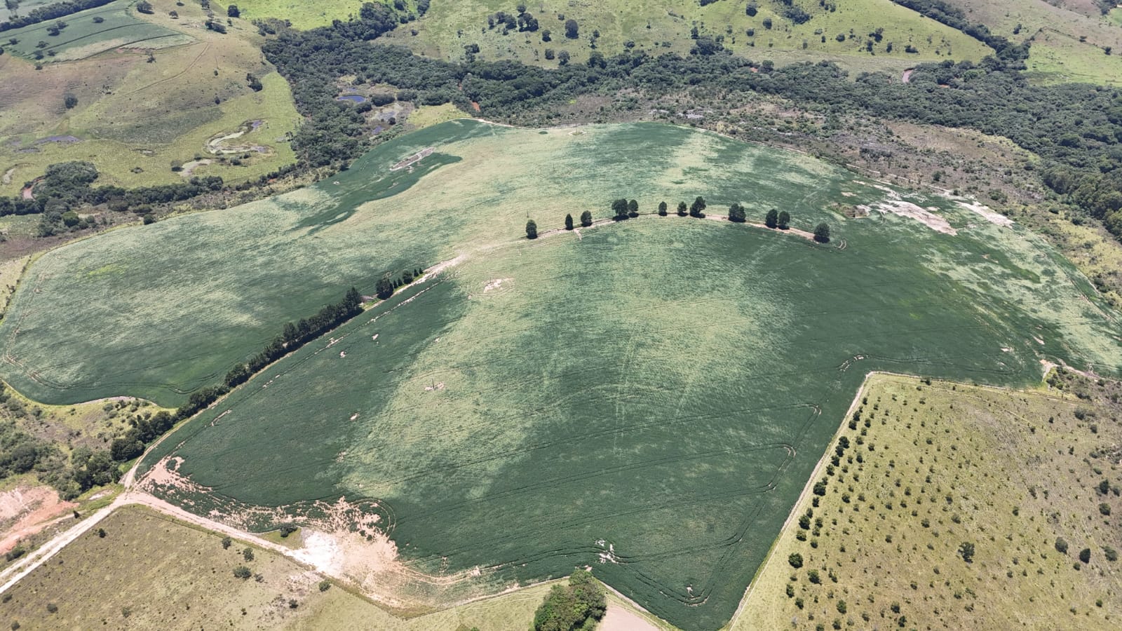 c172f7e4-c509-4bf3-bd7d-8f8c58baacd5.jfif