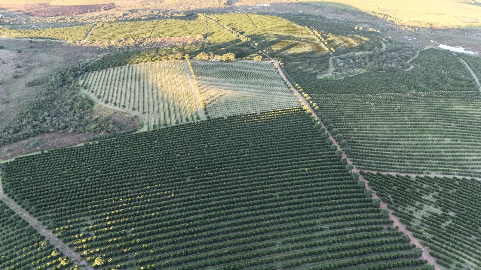 1dd6e690-4d66-4050-8474-345b301659ec.jfif