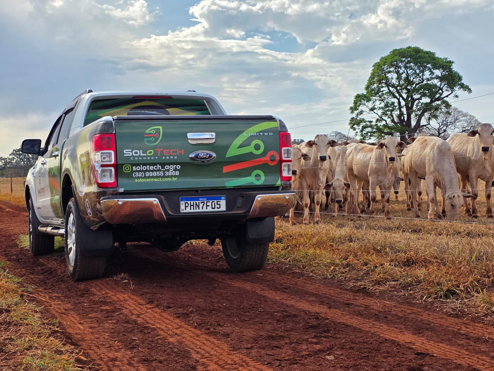 2bc52398-0e62-4d3d-acc3-55488fe7868a.jfif