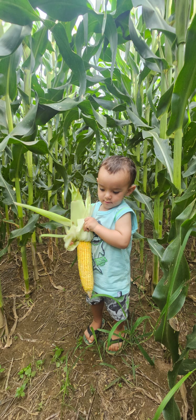 c5dae0c9-6af7-484c-bebf-b69401f98acf.jfif