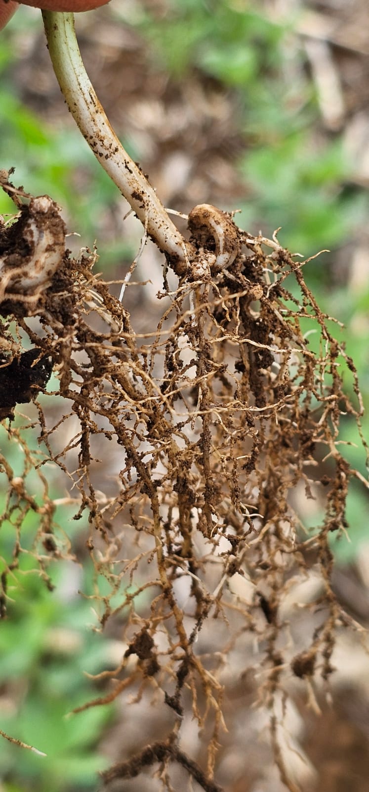 dac47b3a-408f-4584-9283-27e7011e5ea1.jfif