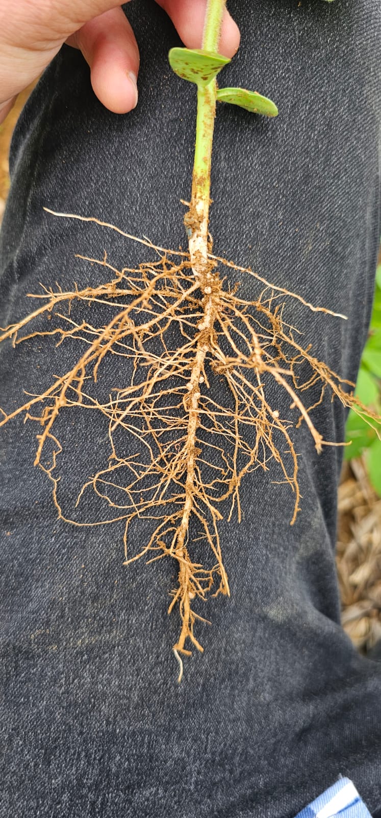 3d137c36-161e-4655-a276-f651c6c9f6c3.jfif