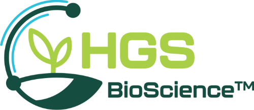 LOGO HGS.png