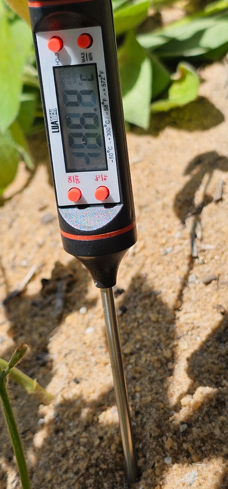 7fd2a80b-6ffd-476c-9f12-426a30fb616b.jfif