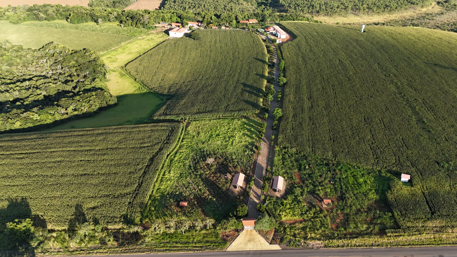 9d9adea7-8bfe-4d92-a920-761c46e69106.jfif