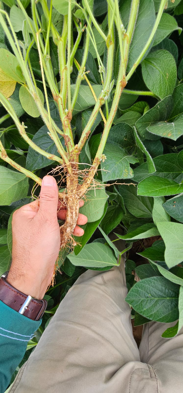 9a458e6e-c262-4bba-90b6-915e018f1e43.jfif