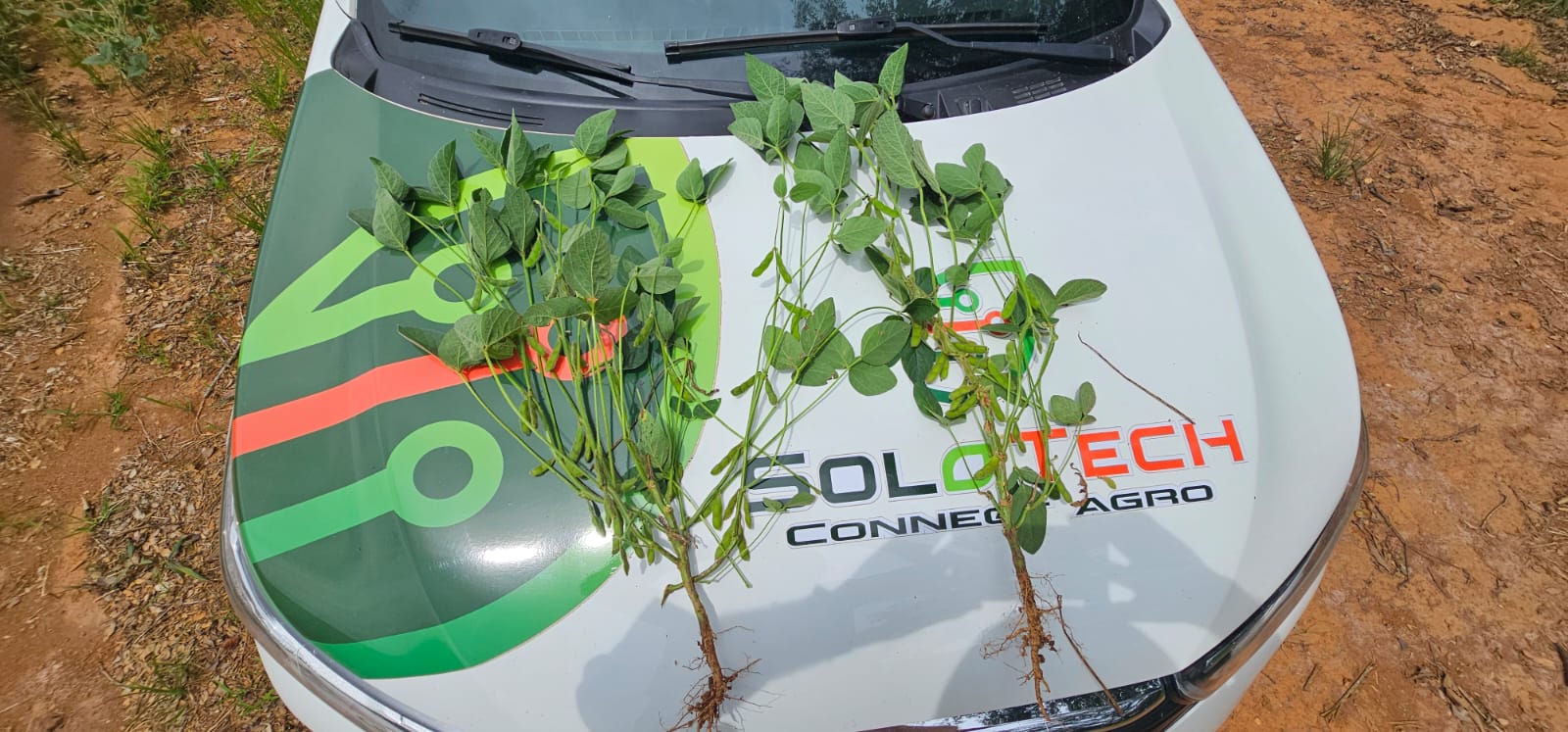 04706fd6-63f0-49db-bc53-59b00aa67479.jfif