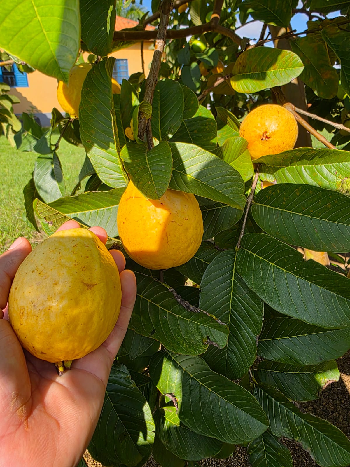 7955ccdd-c208-431c-9641-5e970114b745.jfif