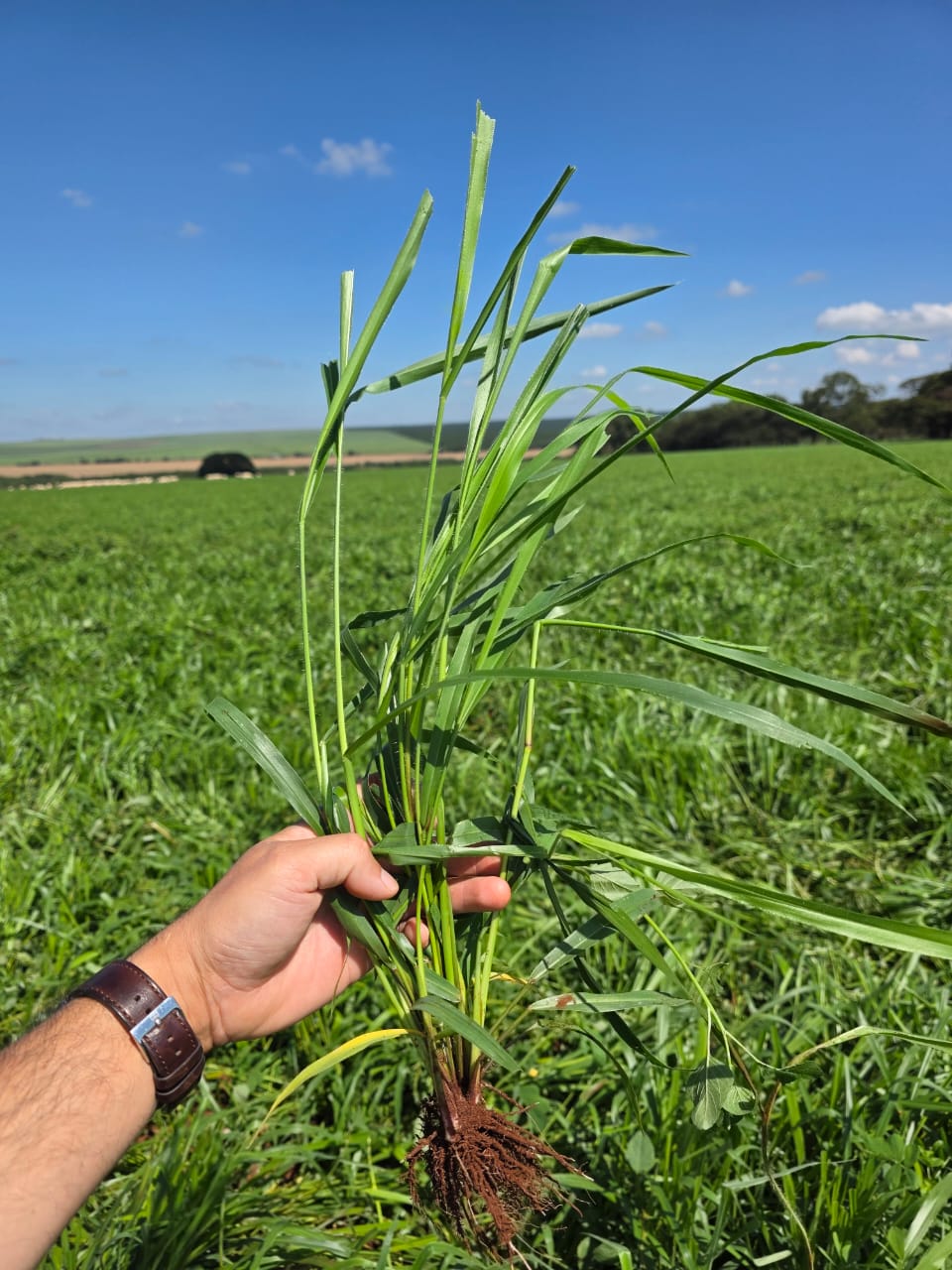 e32bbd90-5bca-423d-9365-eddc4abfdbed.jfif