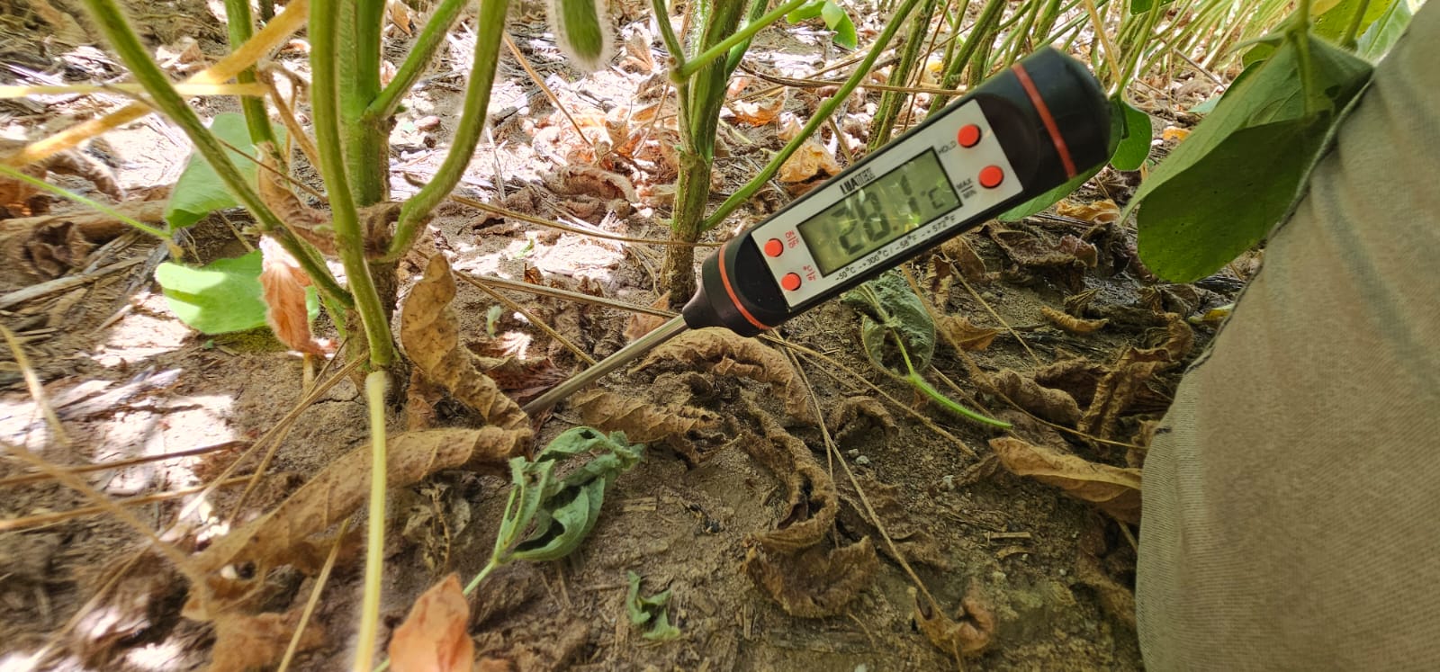 6d323ab4-ead9-4570-8e74-b55930b4f03c.jfif