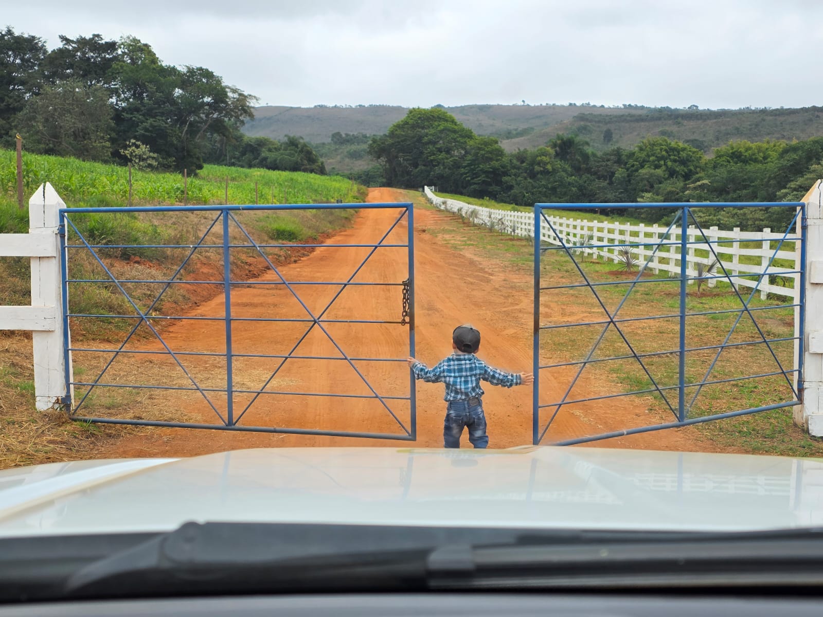 aca0d4c8-6990-438b-9070-14a6894d631f.jfif